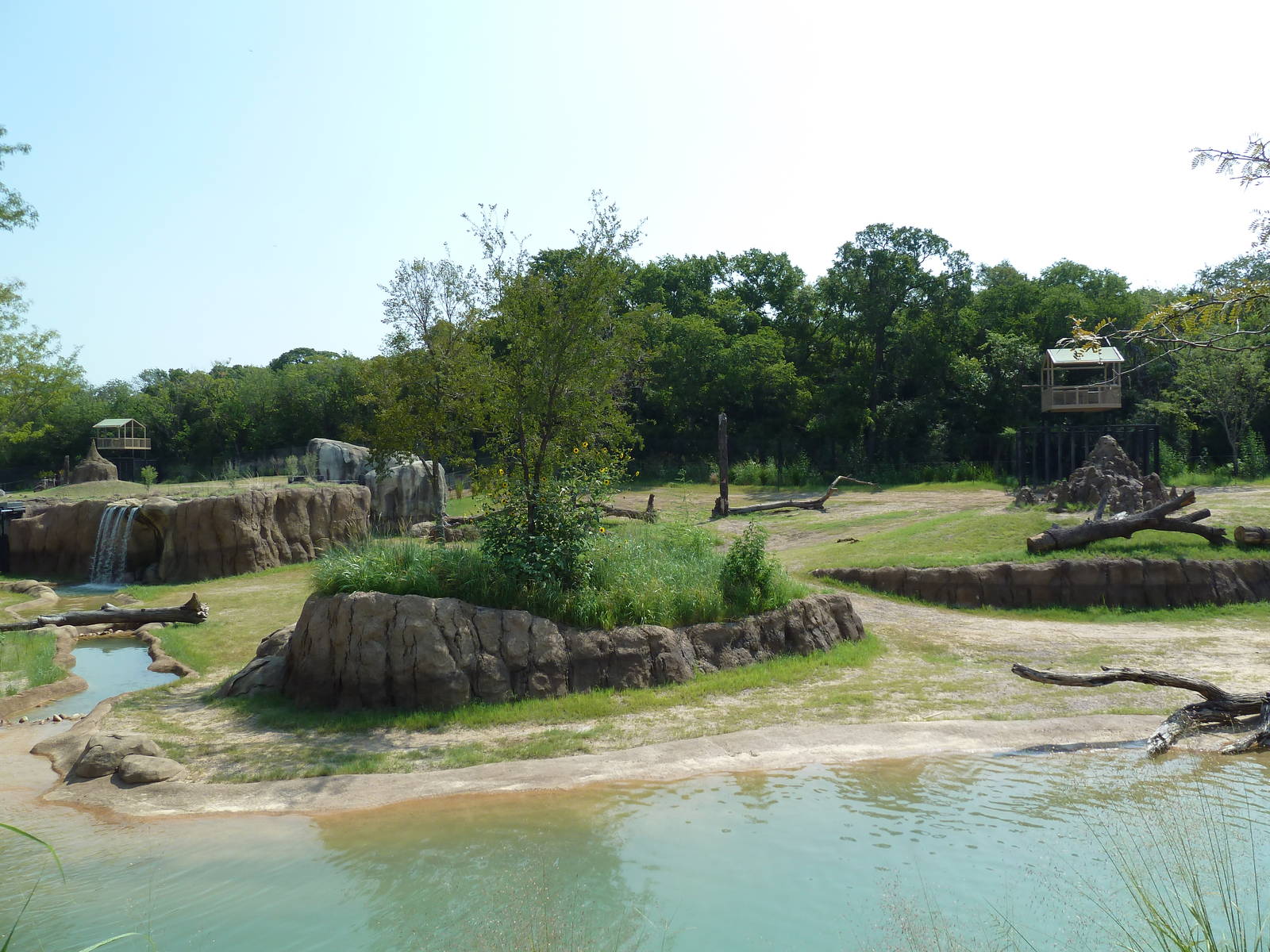 Giants Of The Savanna