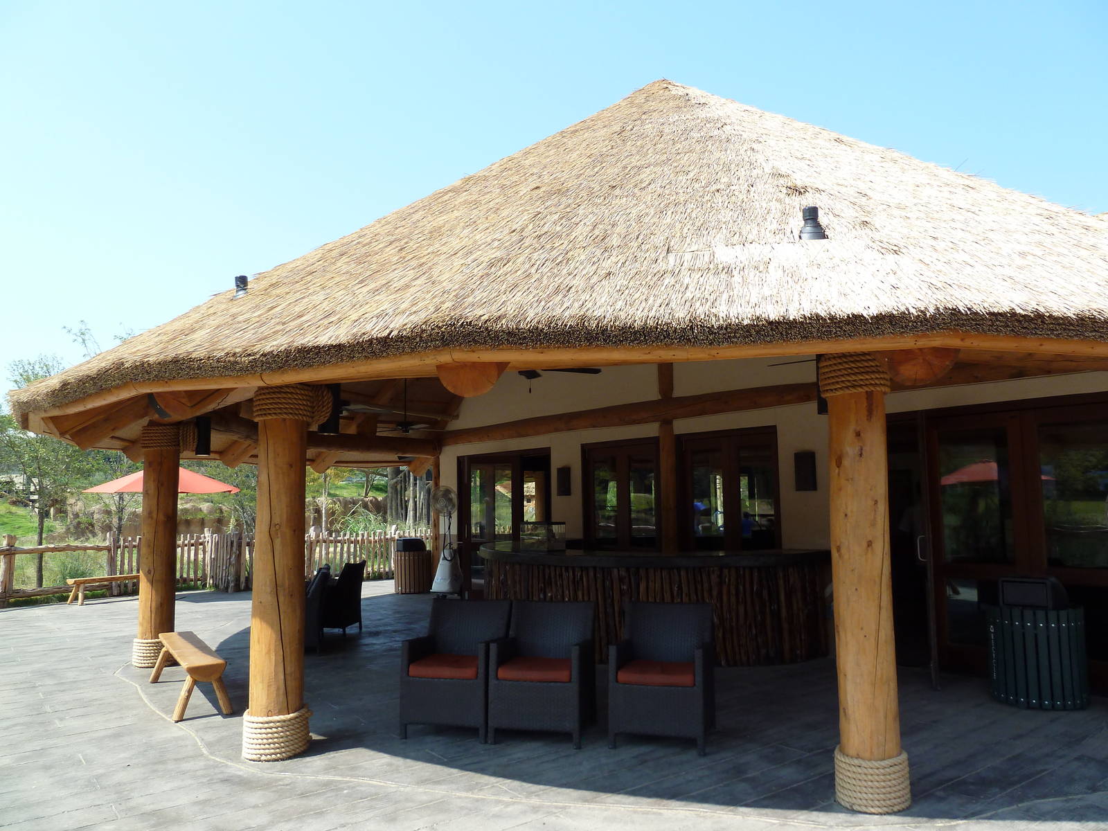 Giants Of The Savanna