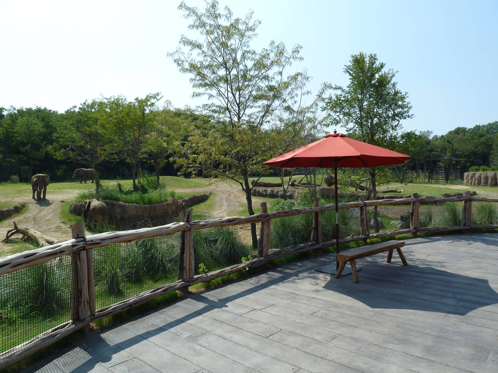 Giants Of The Savanna