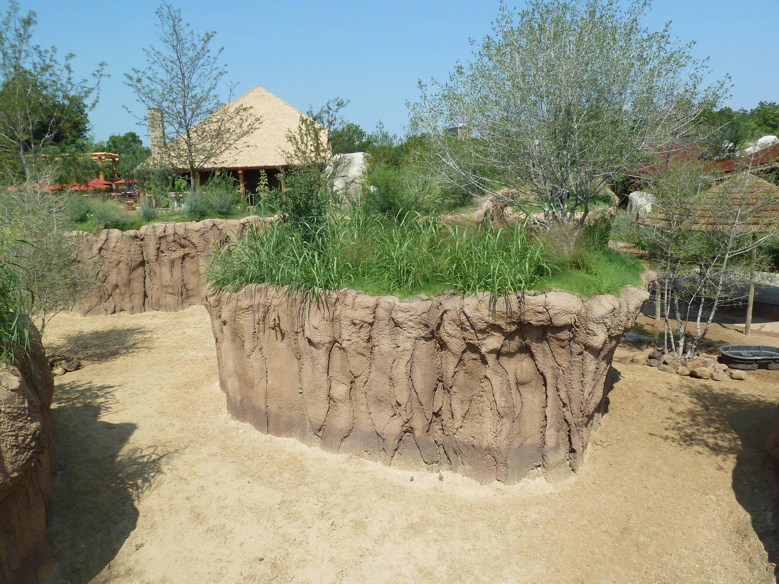 Giants Of The Savanna