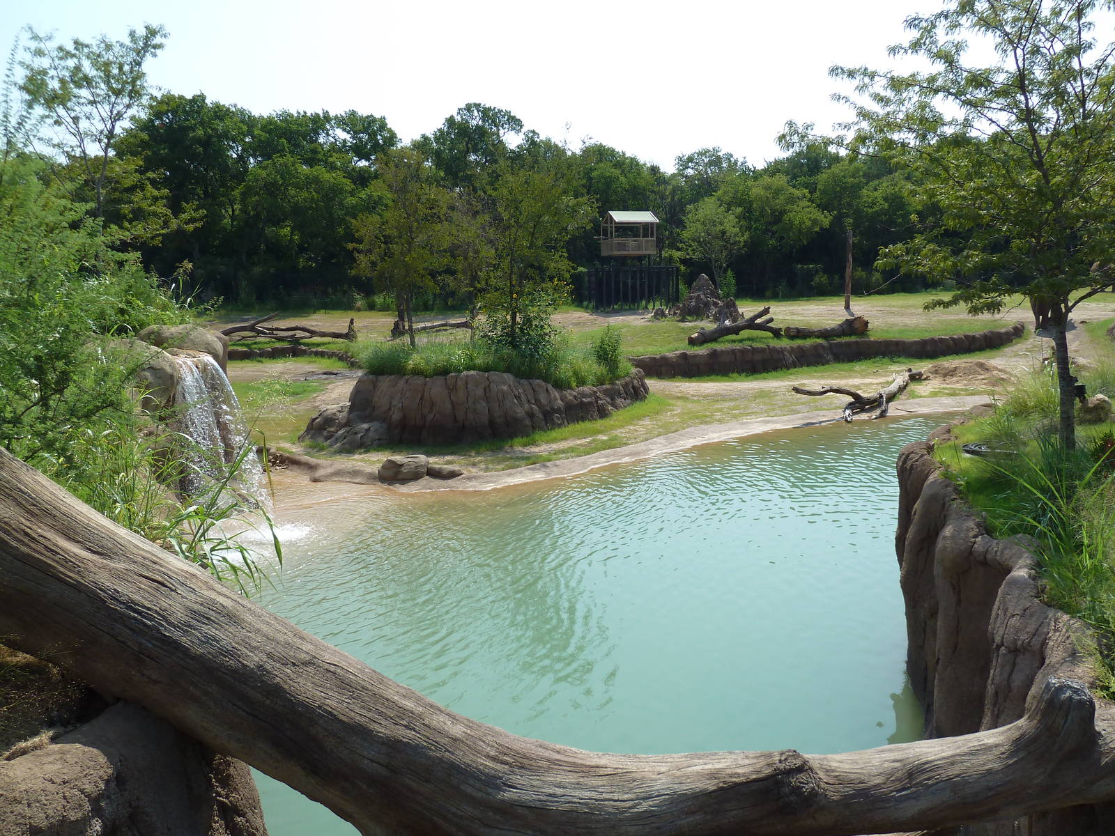 Giants Of The Savanna