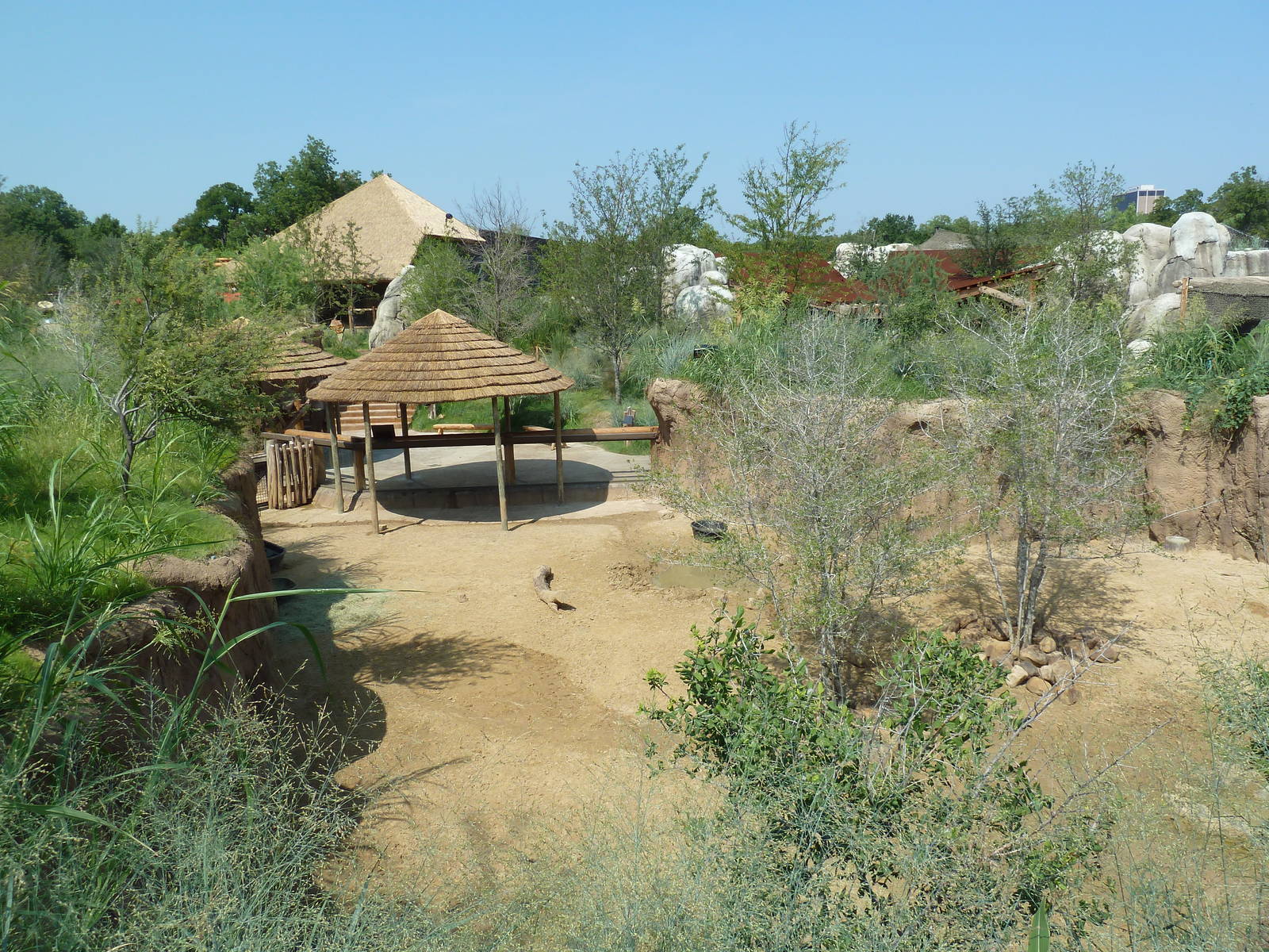 Giants Of The Savanna