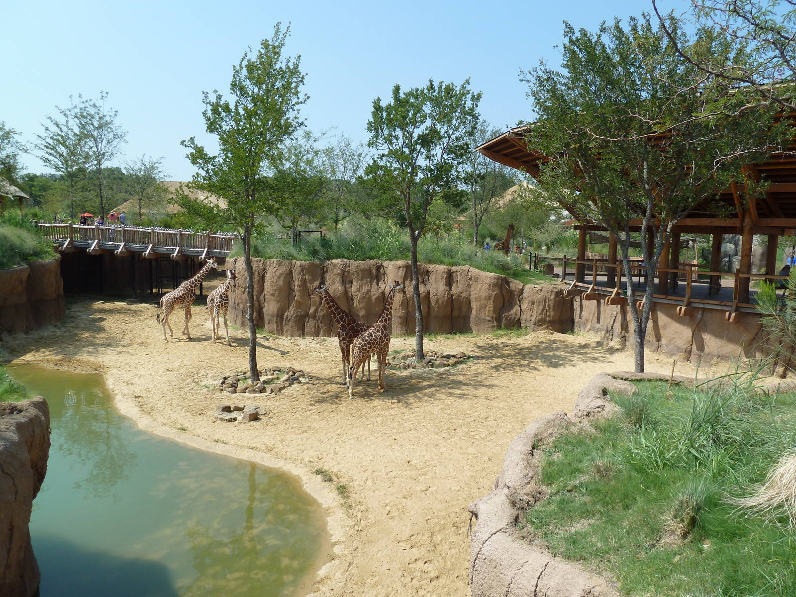 Giants Of The Savanna