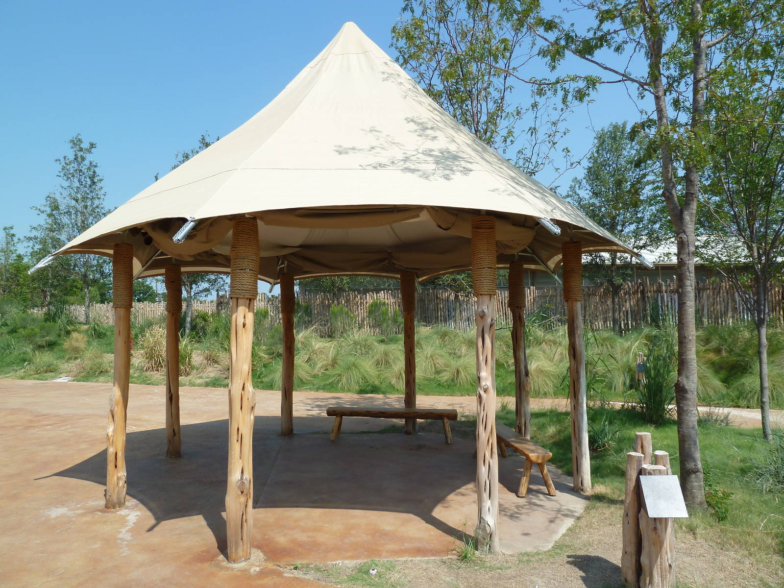 Giants Of The Savanna