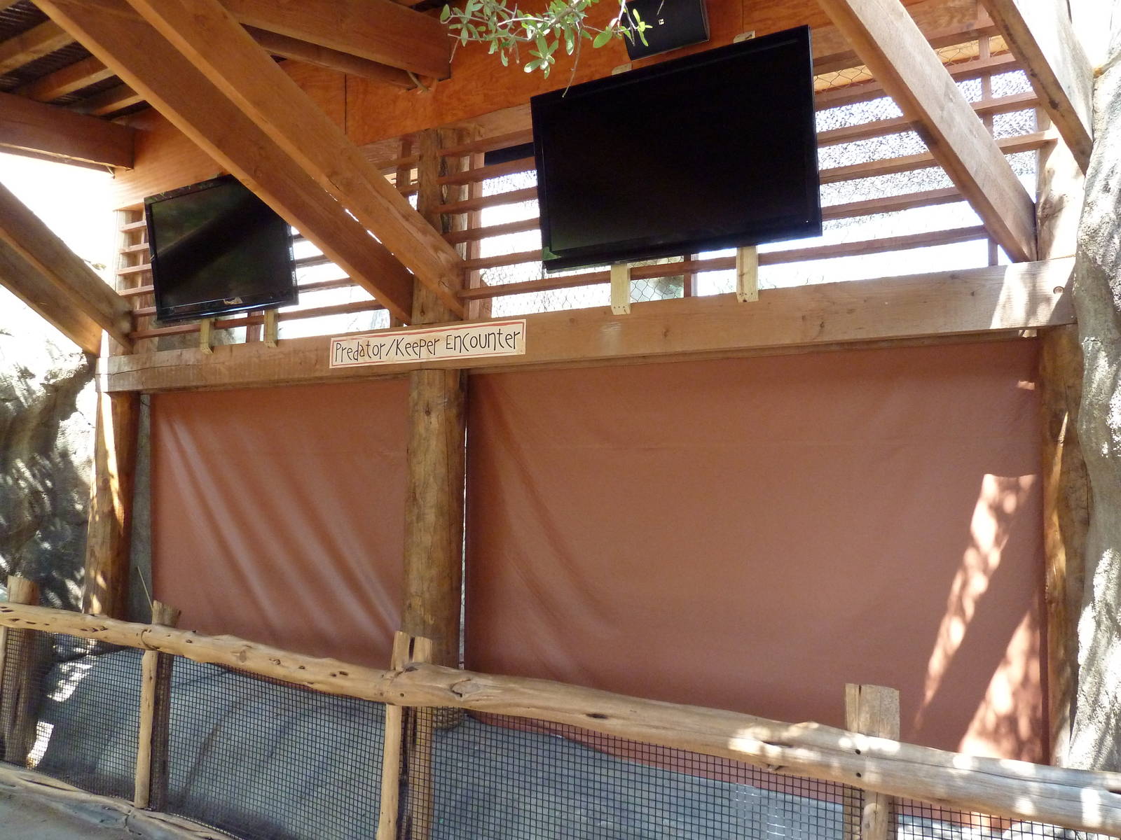 Giants Of The Savanna