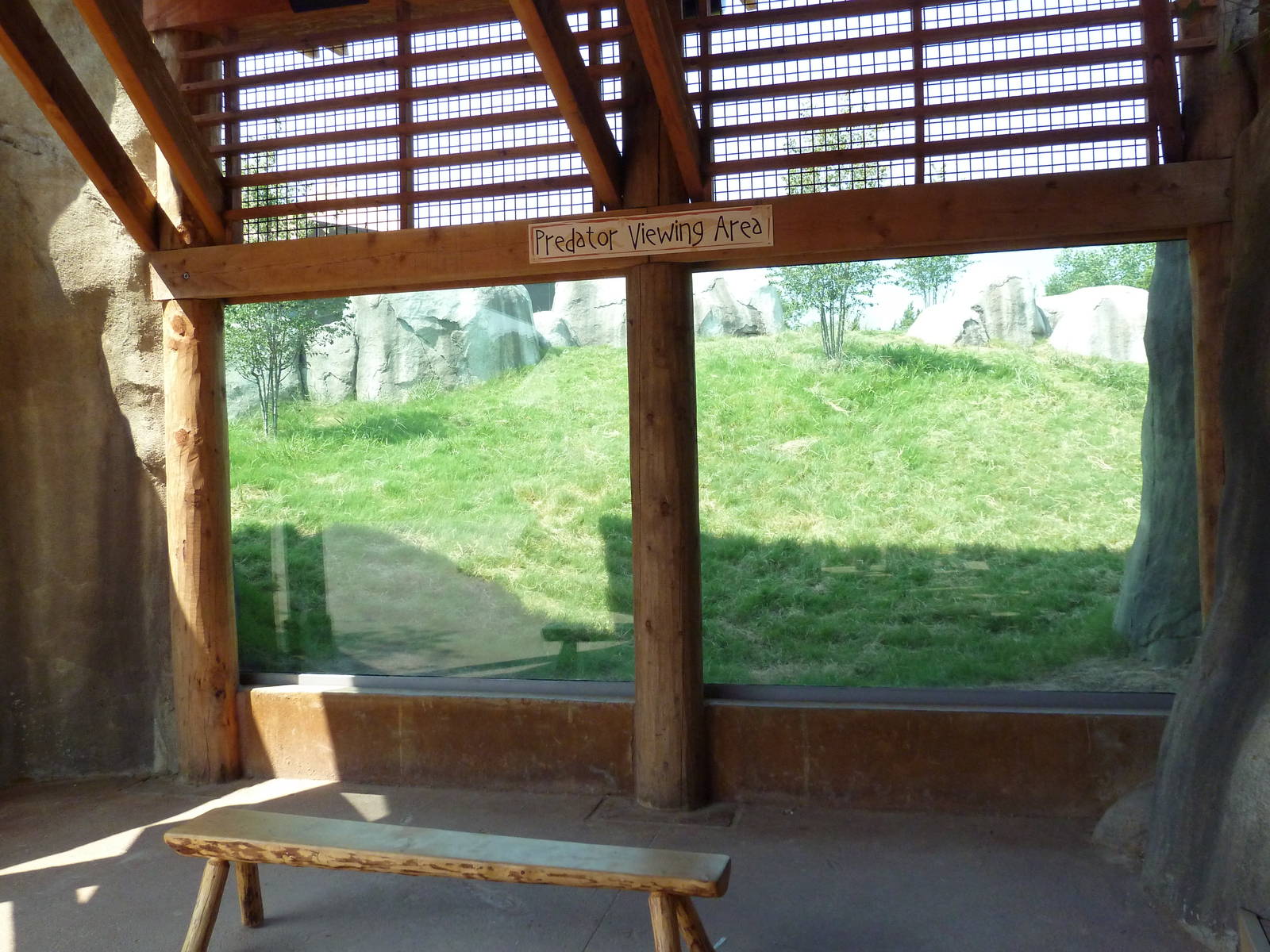 Giants Of The Savanna