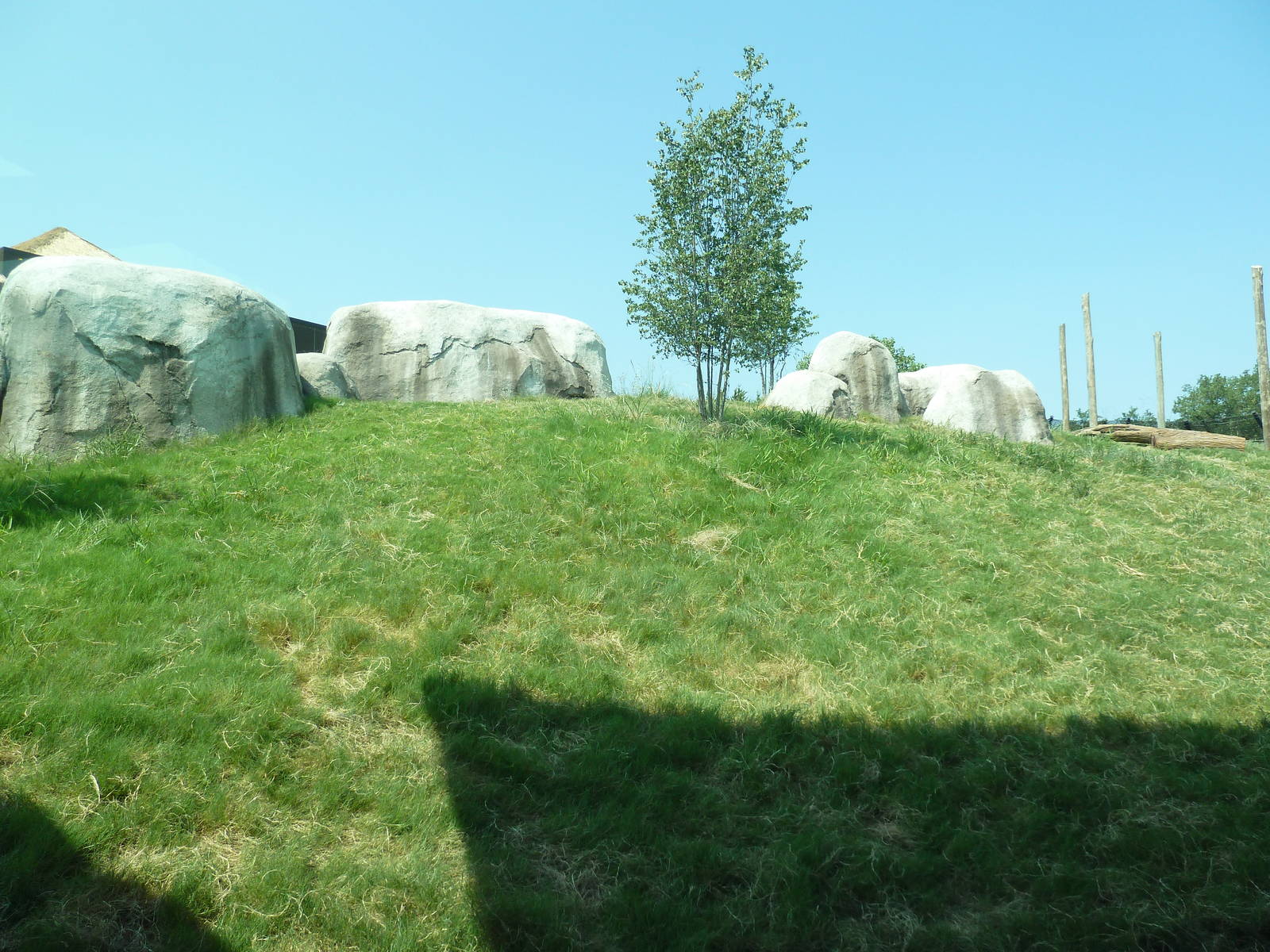 Giants Of The Savanna