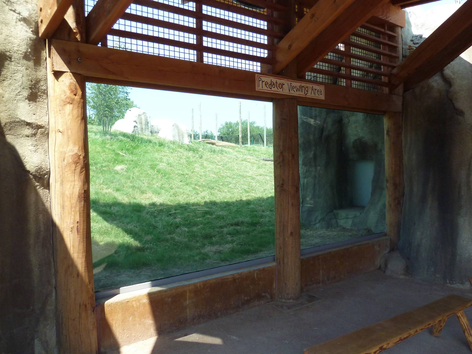 Giants Of The Savanna