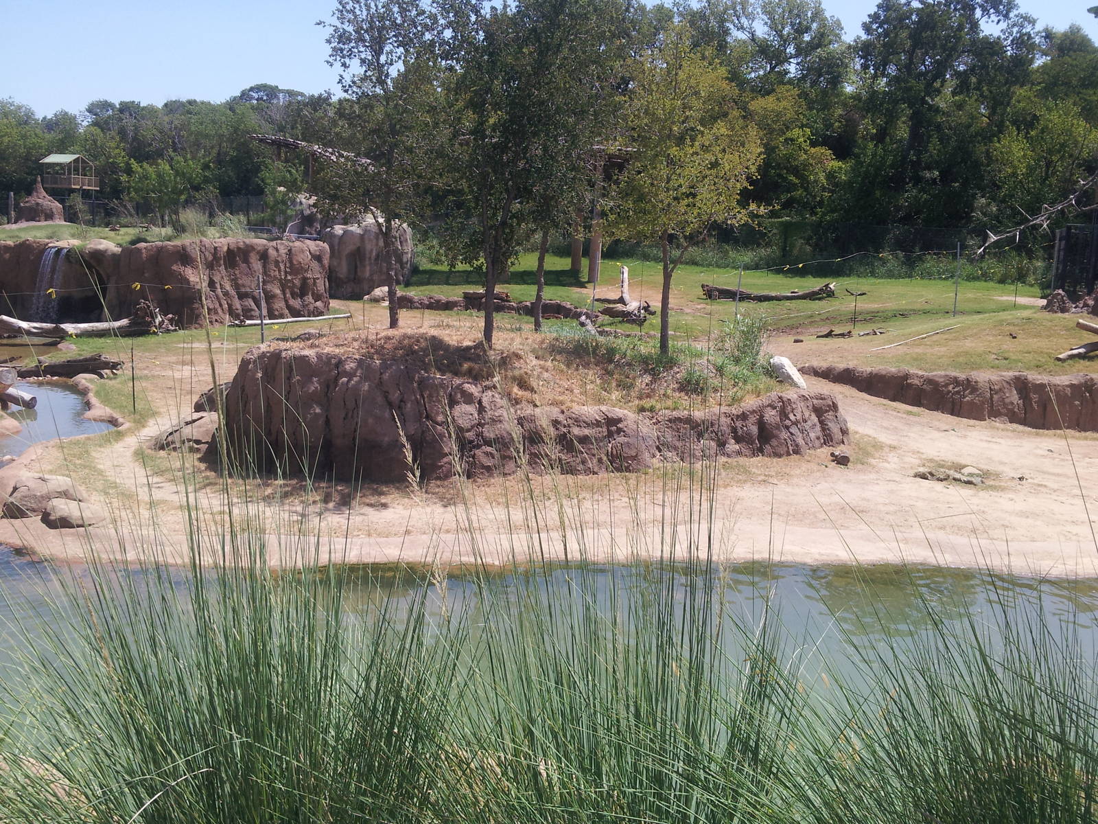 Giants of the Savanna