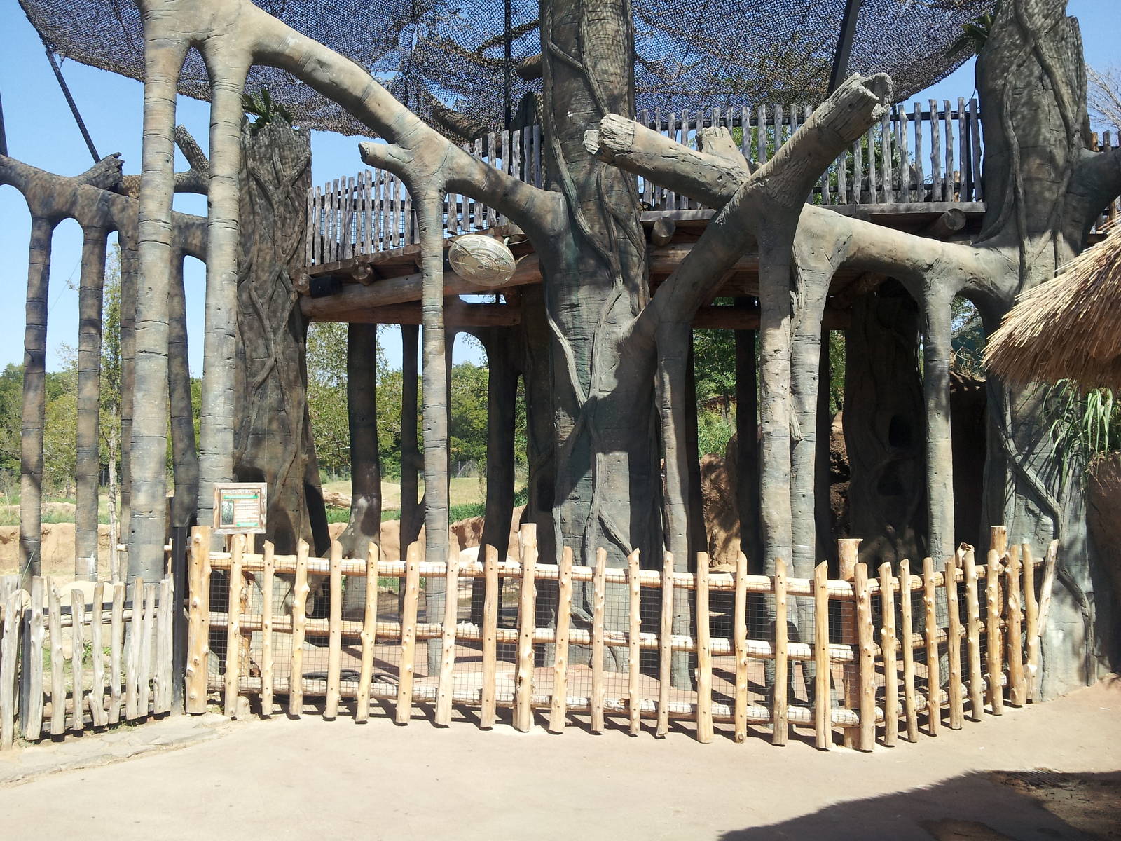 Giants of the Savanna