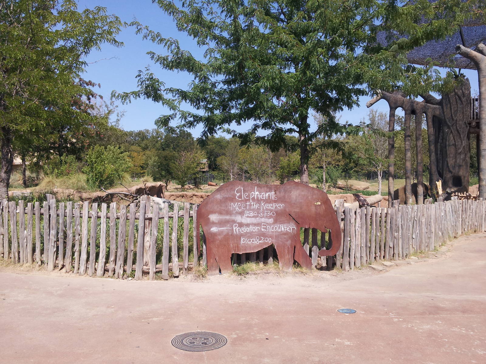 Giants of the Savanna