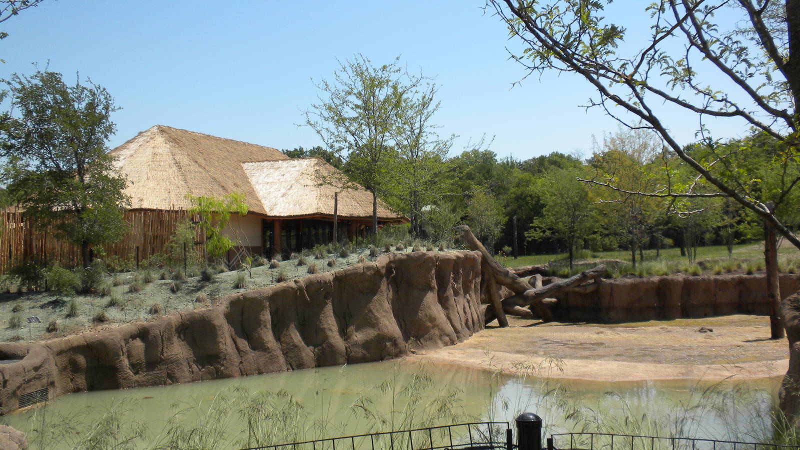 Giants of the Savanna