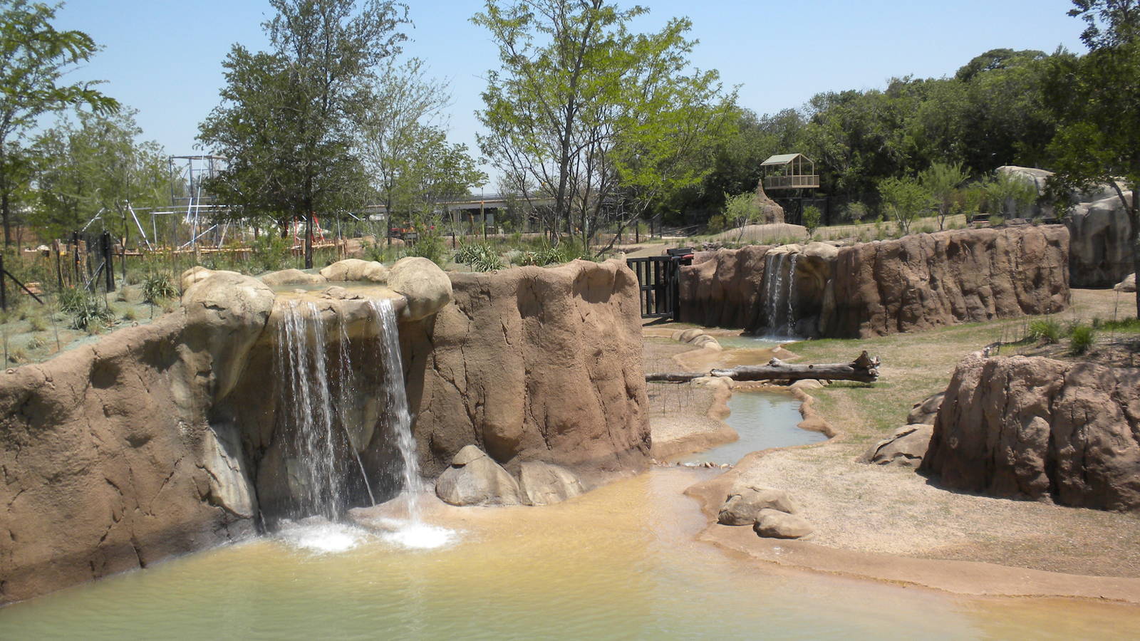 Giants of the Savanna