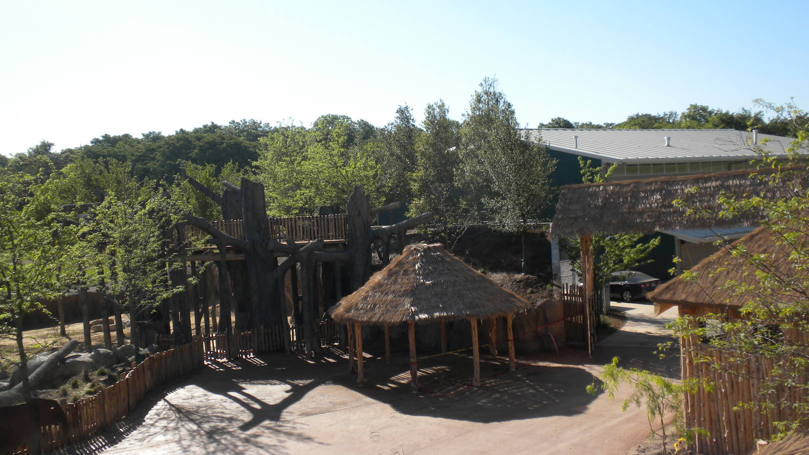 Giants of the Savanna