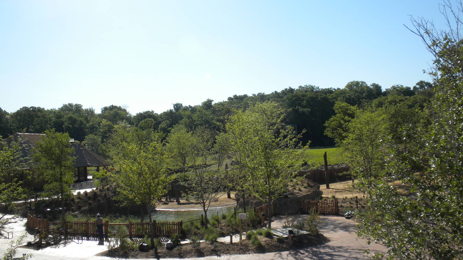 Giants of the Savanna