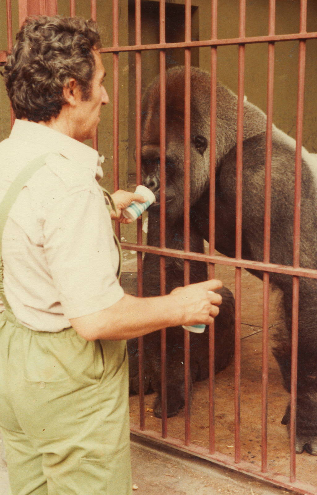 Giardino Zoologico, circa 1985