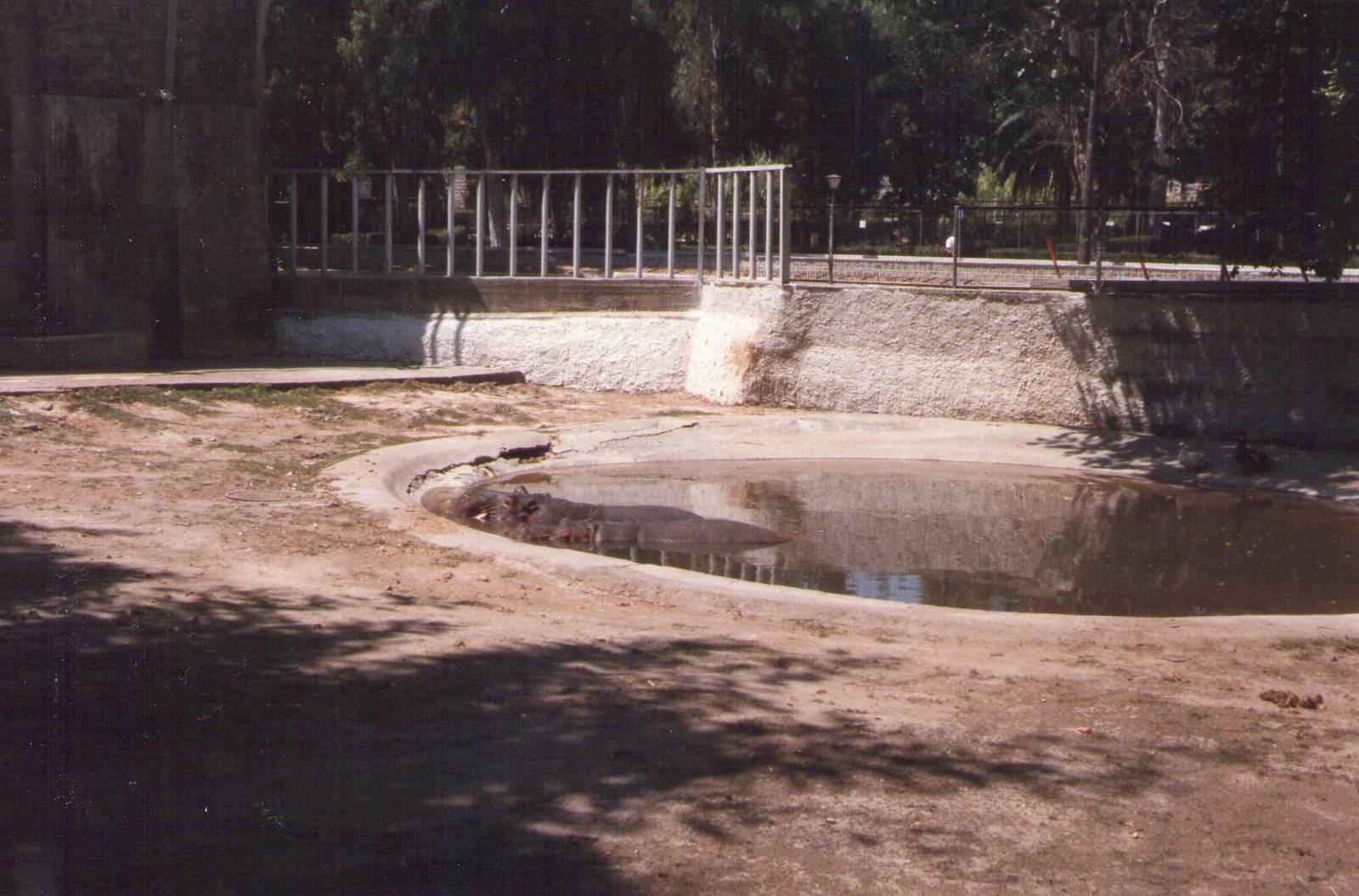 Giardino Zoologico, Napoli, 1996