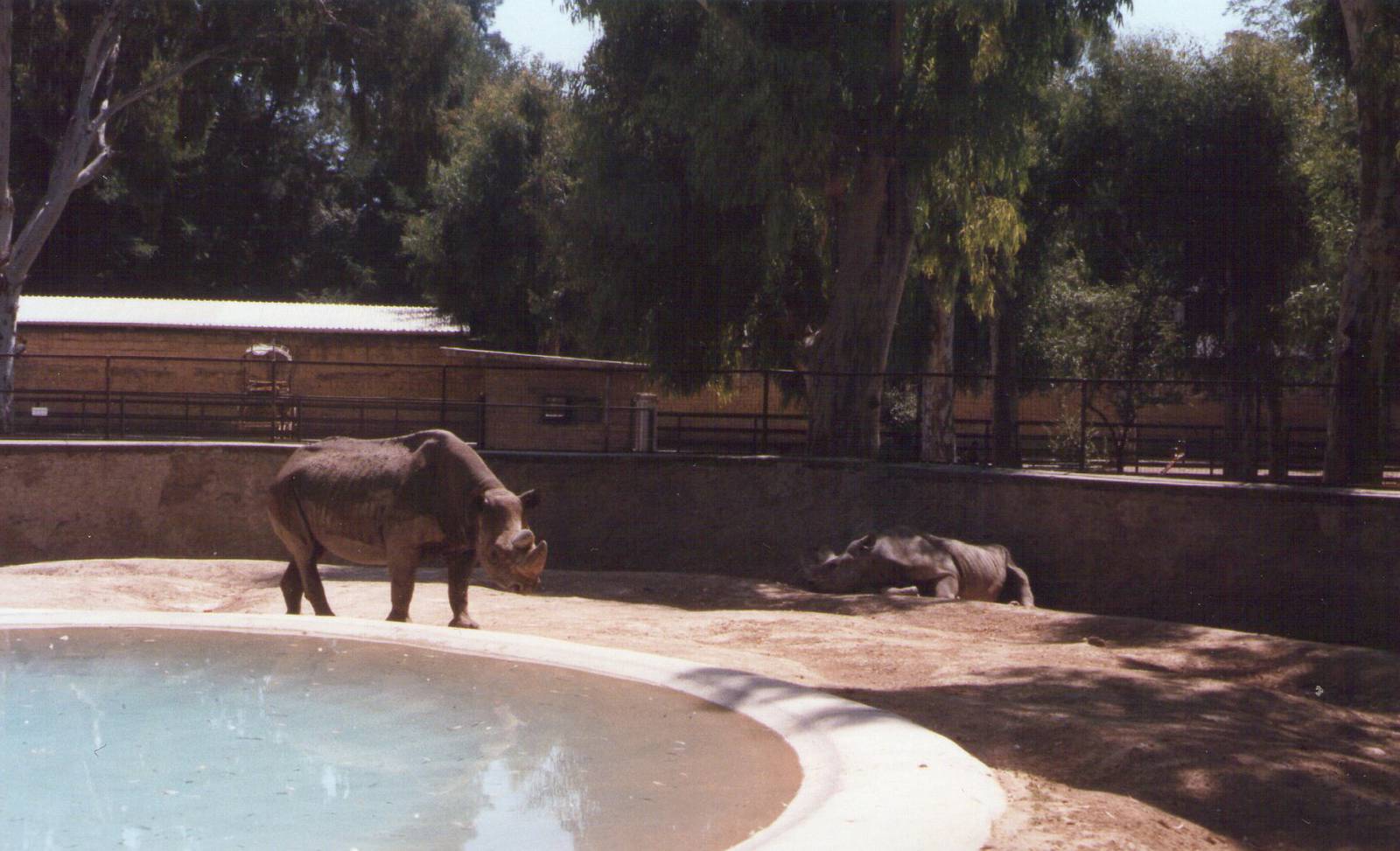 Giardino Zoologico, Napoli, 1996