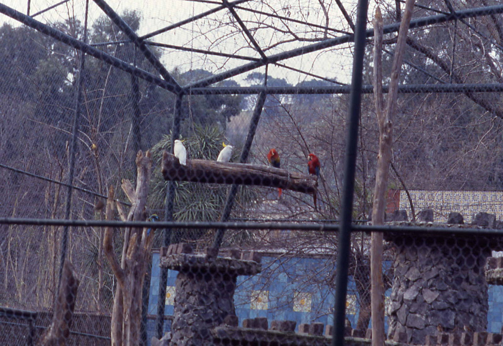 Giardino Zoologico, Napoli