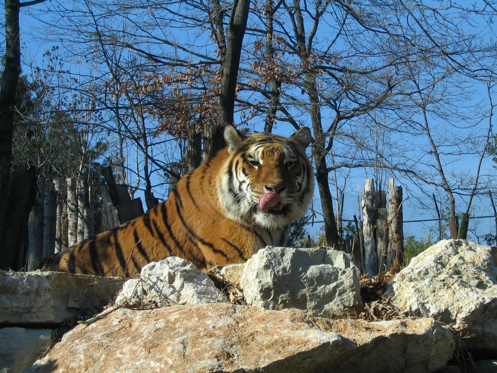 Giardino Zoologico Pistoia