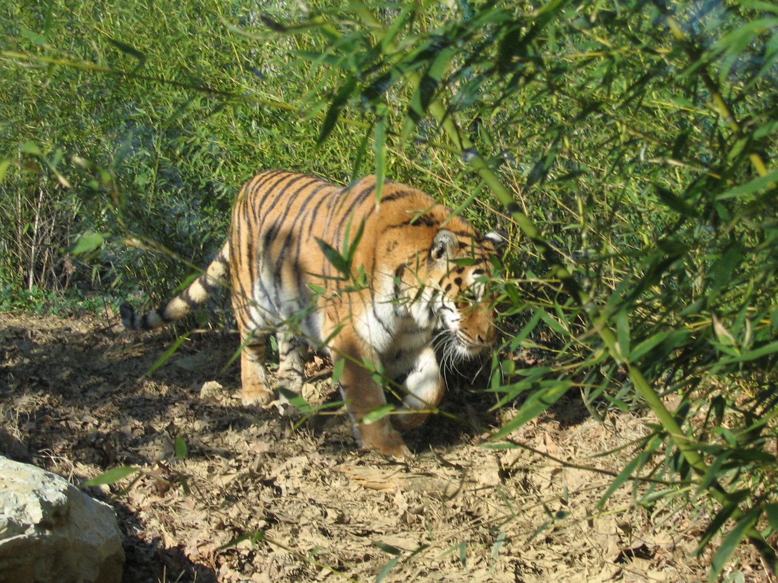 Giardino Zoologico Pistoia