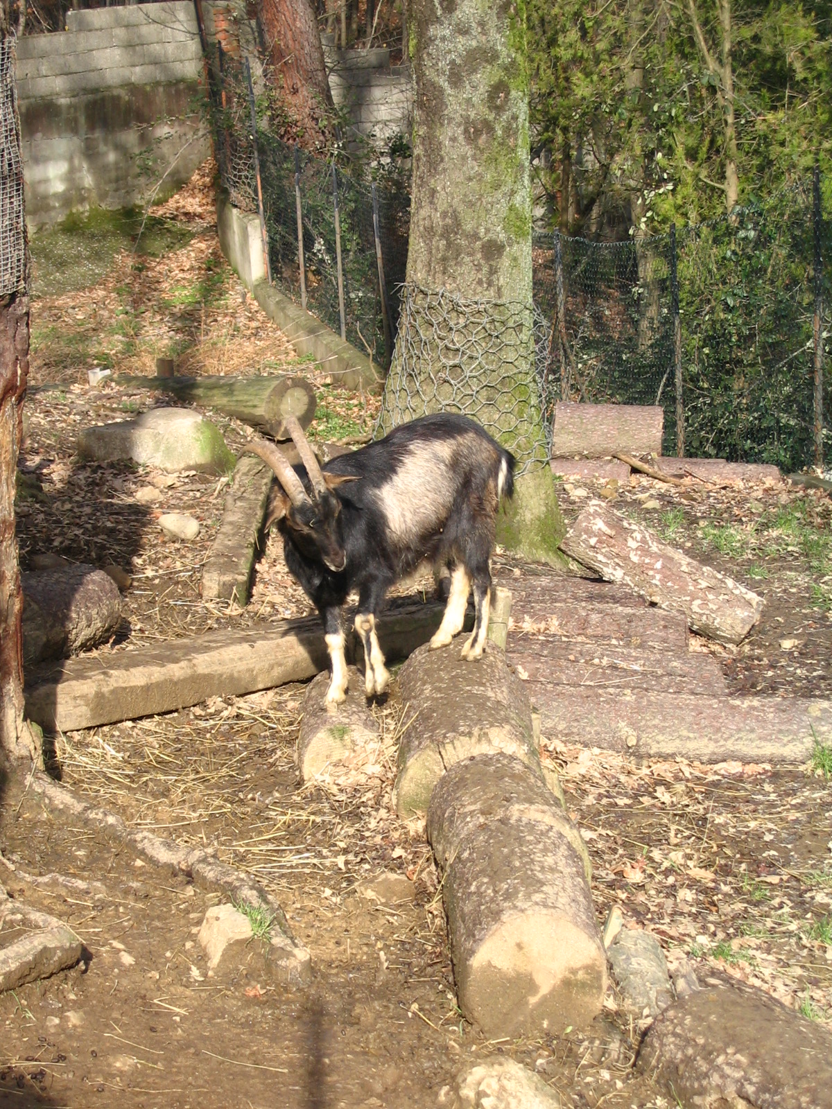 Giardino Zoologico Pistoia