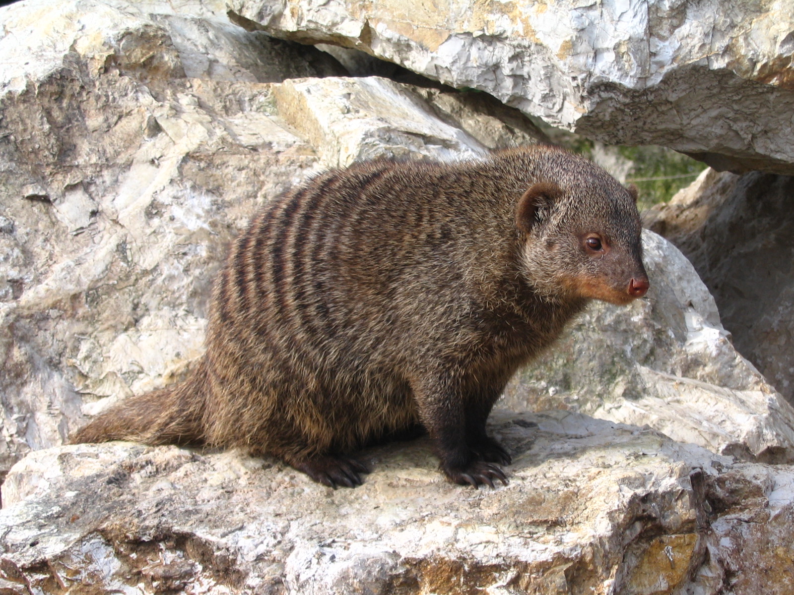Giardino Zoologico Pistoia