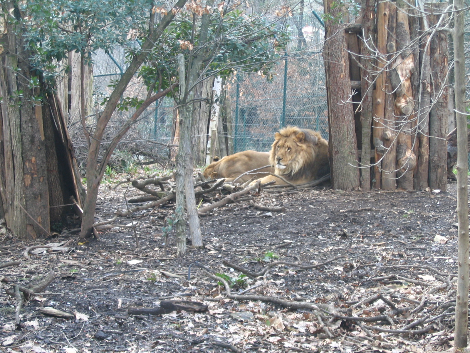 Giardino Zoologico Pistoia