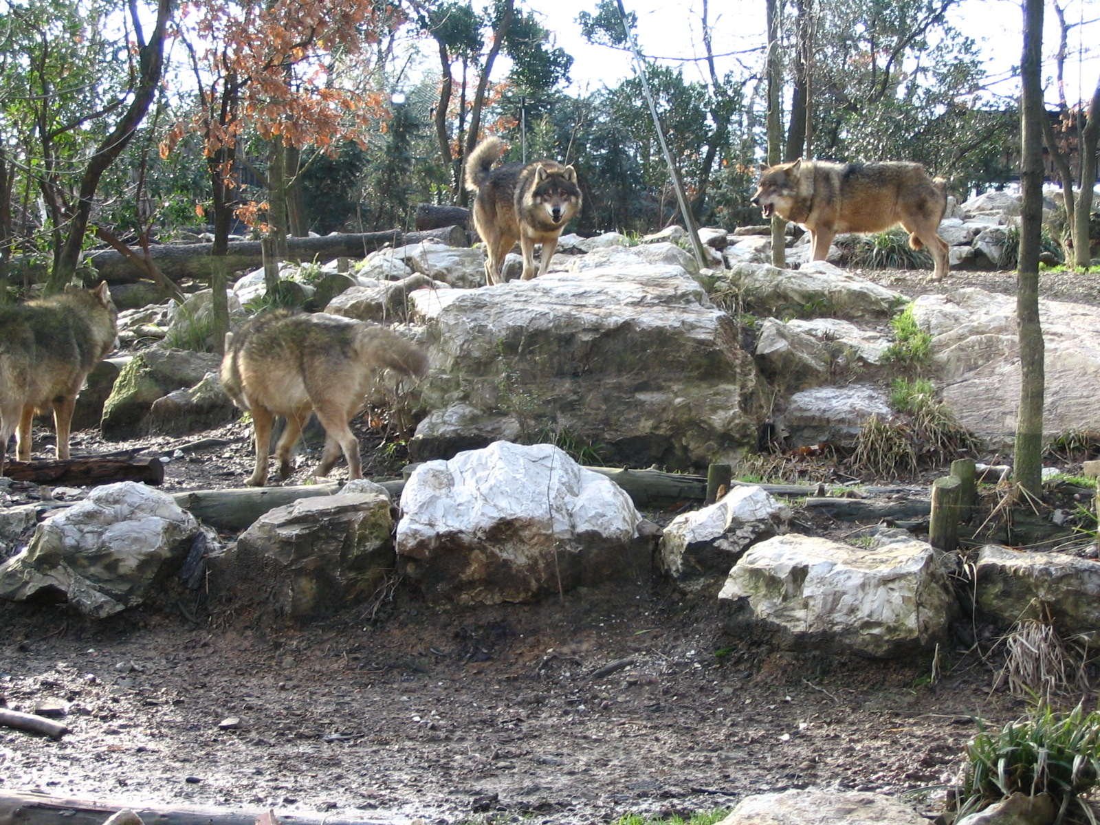 Giardino Zoologico Pistoia