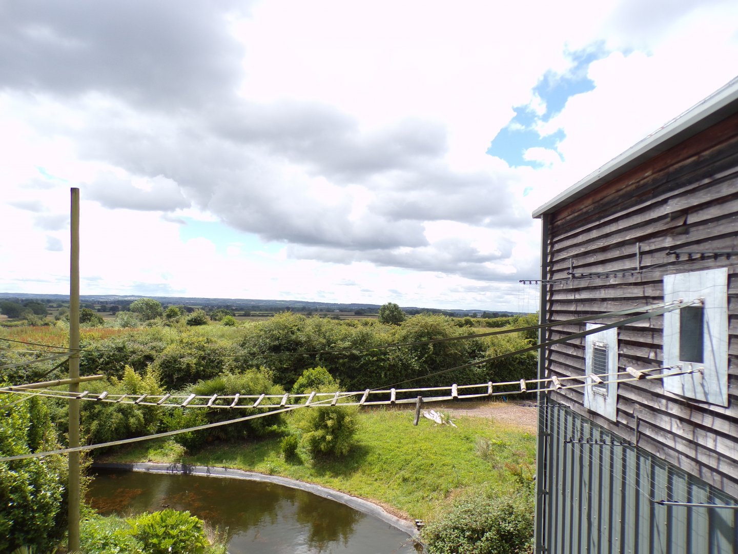 Gibbon access to indoor area and view 7.7.24