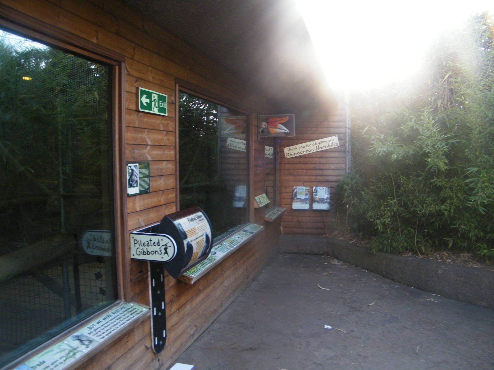 gibbon and hornbill house viewing