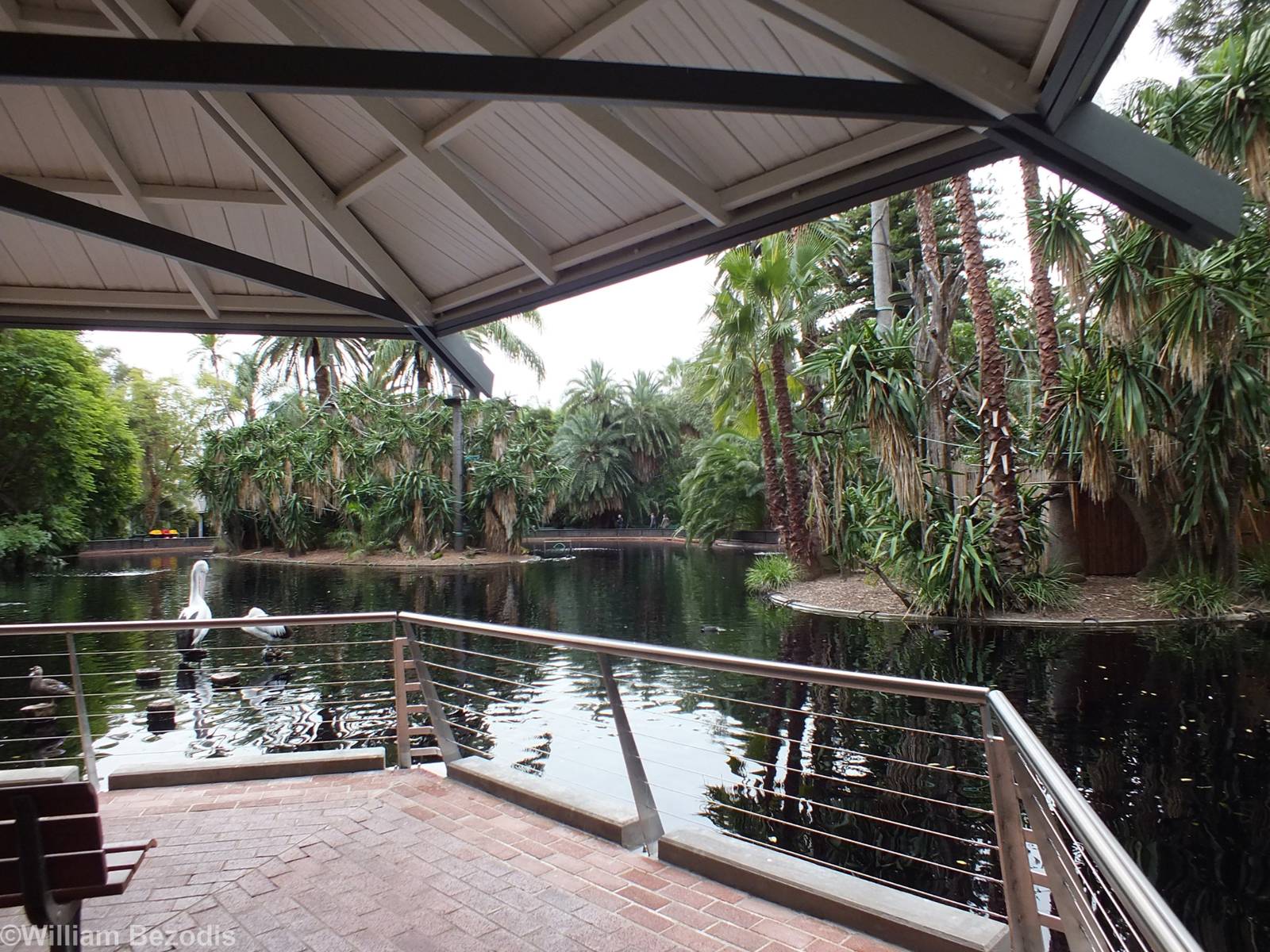 Gibbon and Lemur Islands