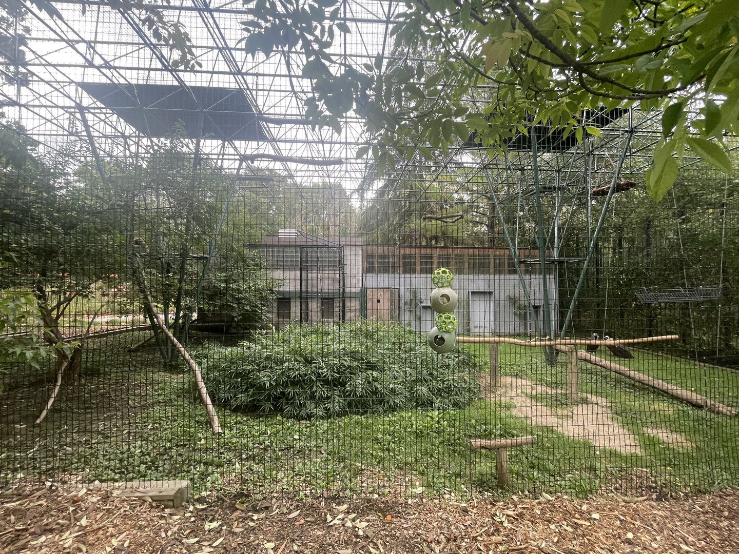 Gibbon and Vulture Exhibit