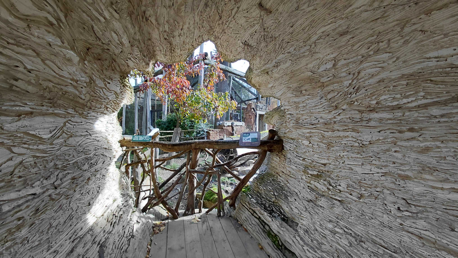 Gibbon+babirusa exhibit - viewing area