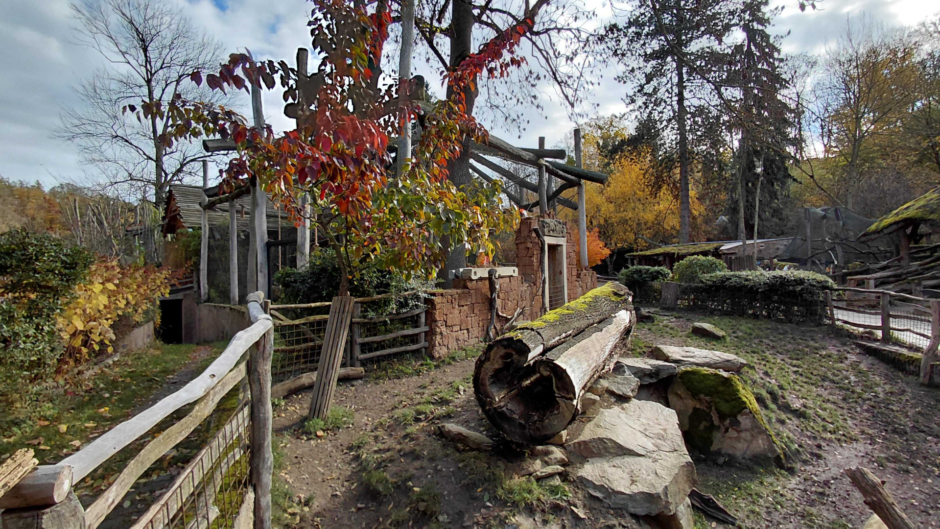 Gibbon + babirusa outdoor exhibits