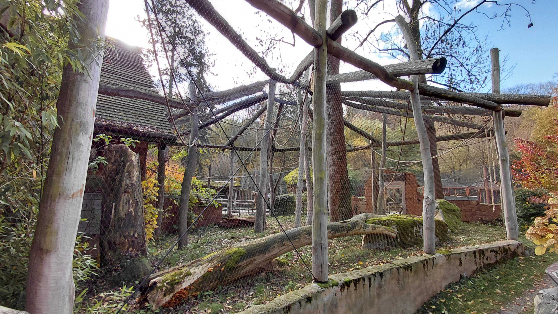 Gibbon + babirusa outdoor exhibits