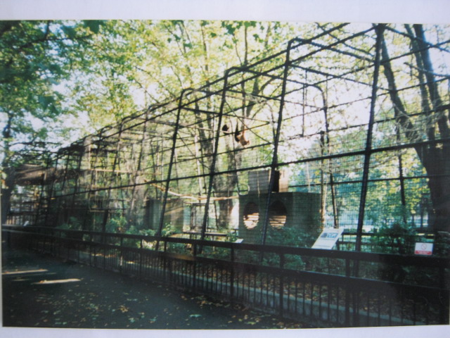 Gibbon Cage 6th October 1999.