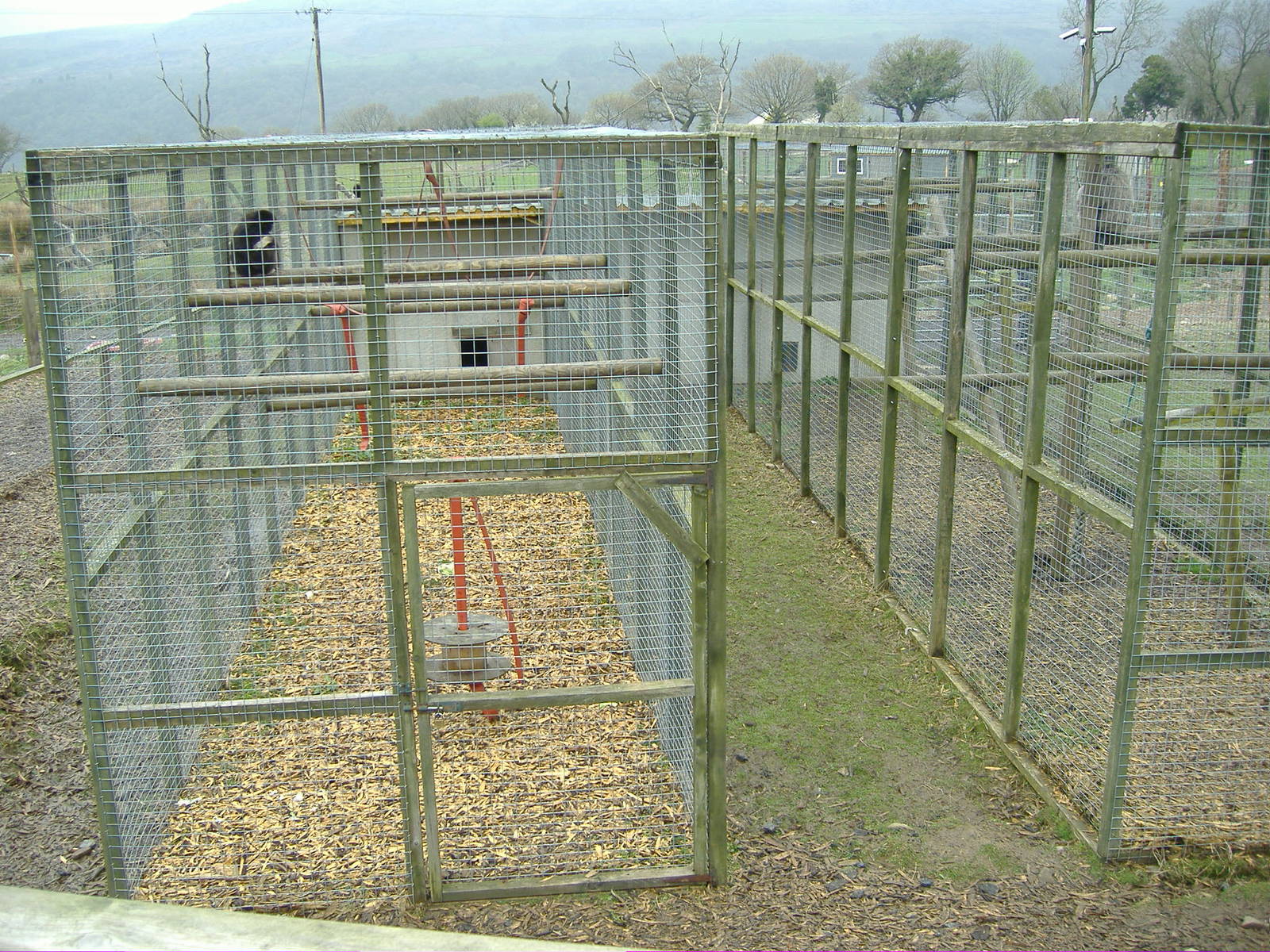 Gibbon Cages Cefn-yr-Erw