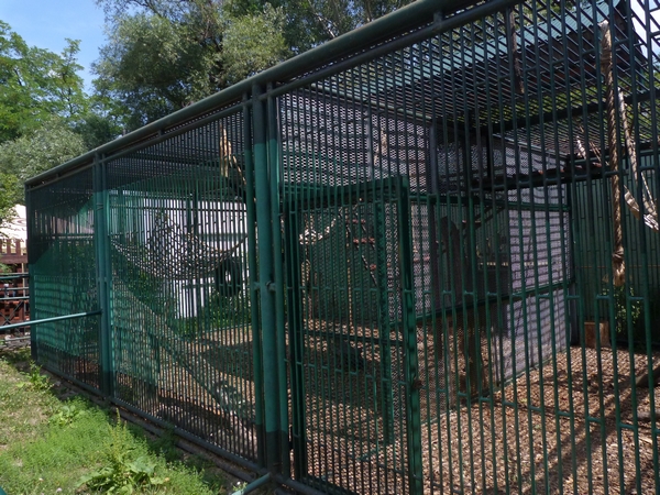 gibbon cages
