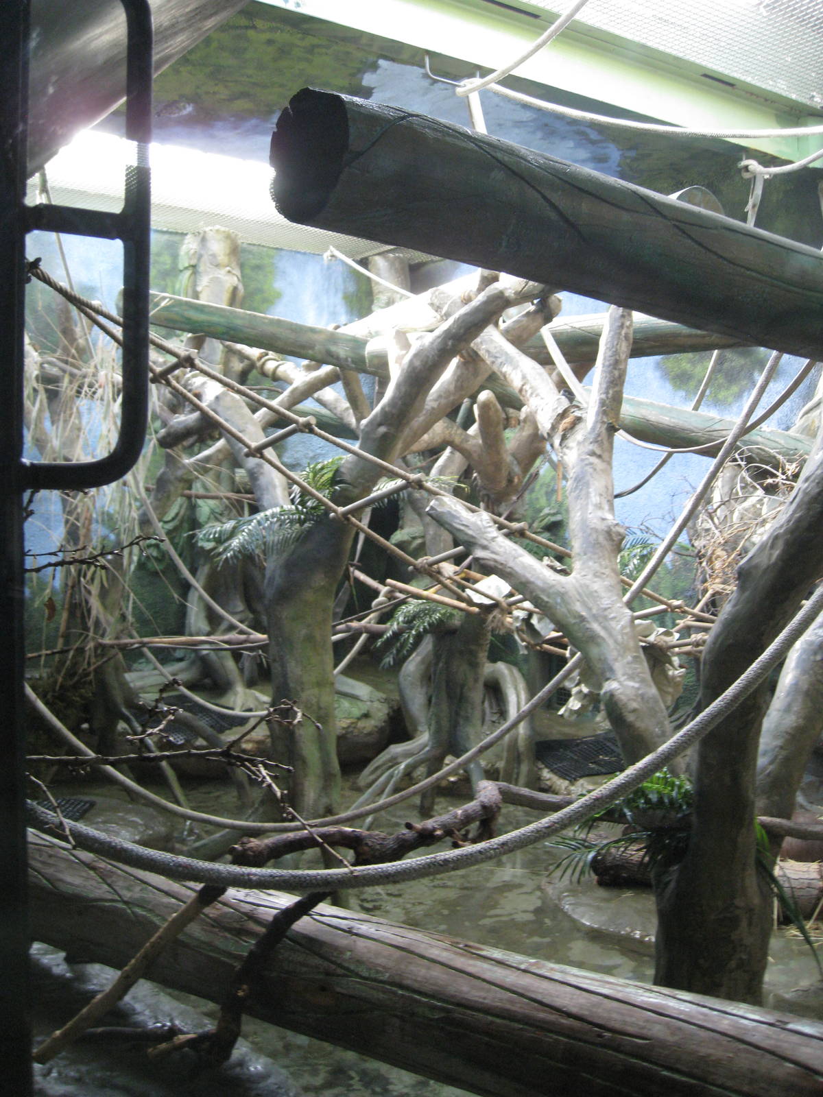 Gibbon/Capybara Exhibit