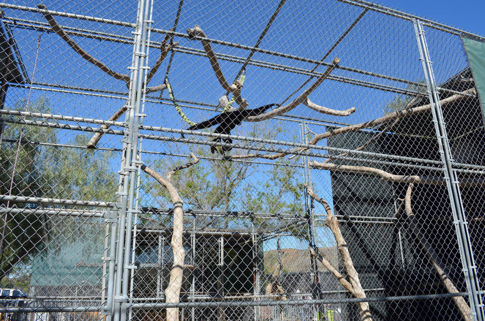 Gibbon Conservation Center