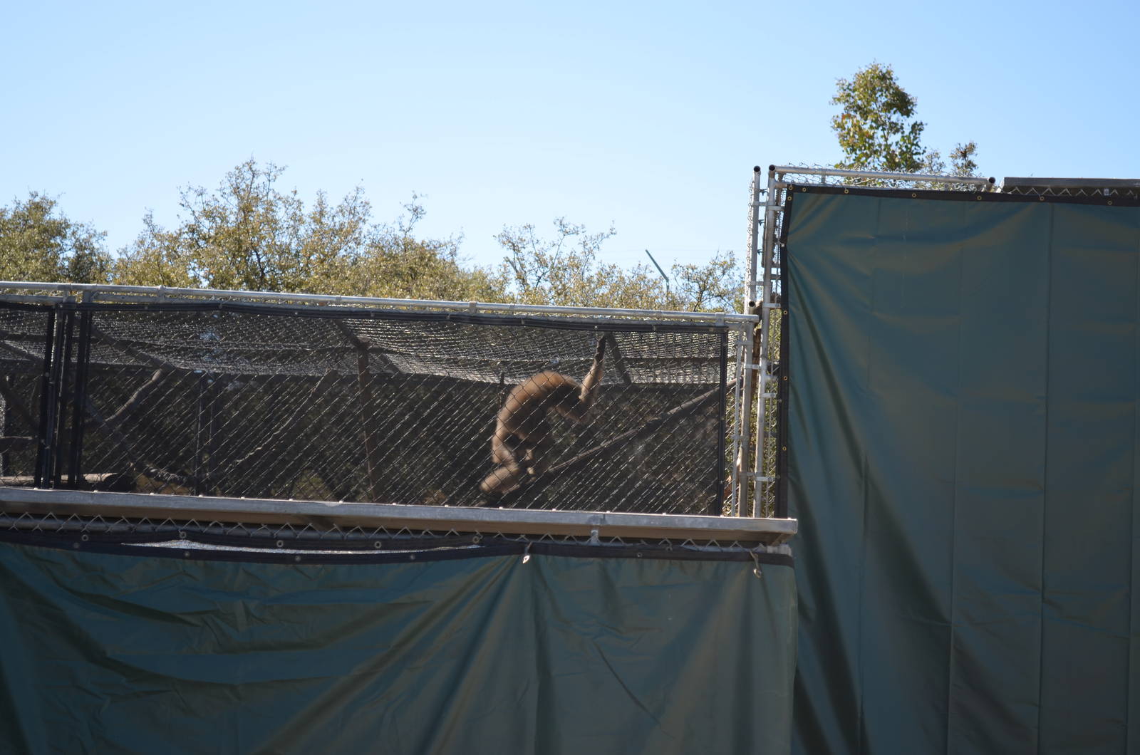 Gibbon Conservation Center