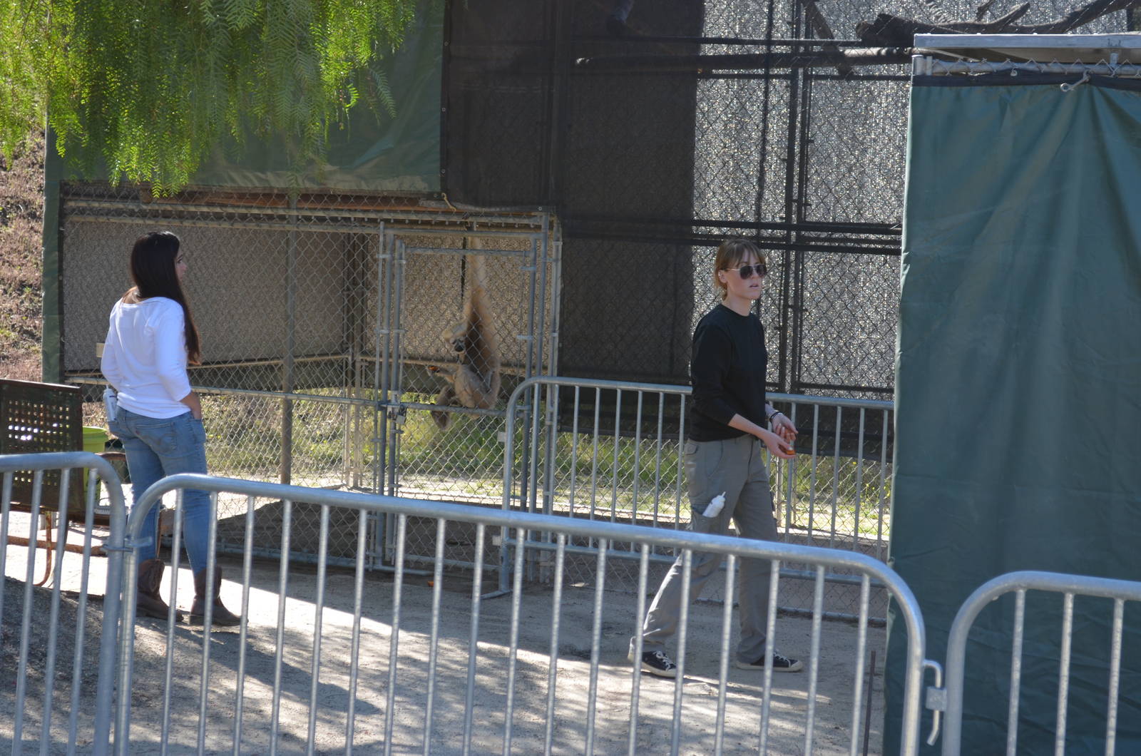 Gibbon Conservation Center