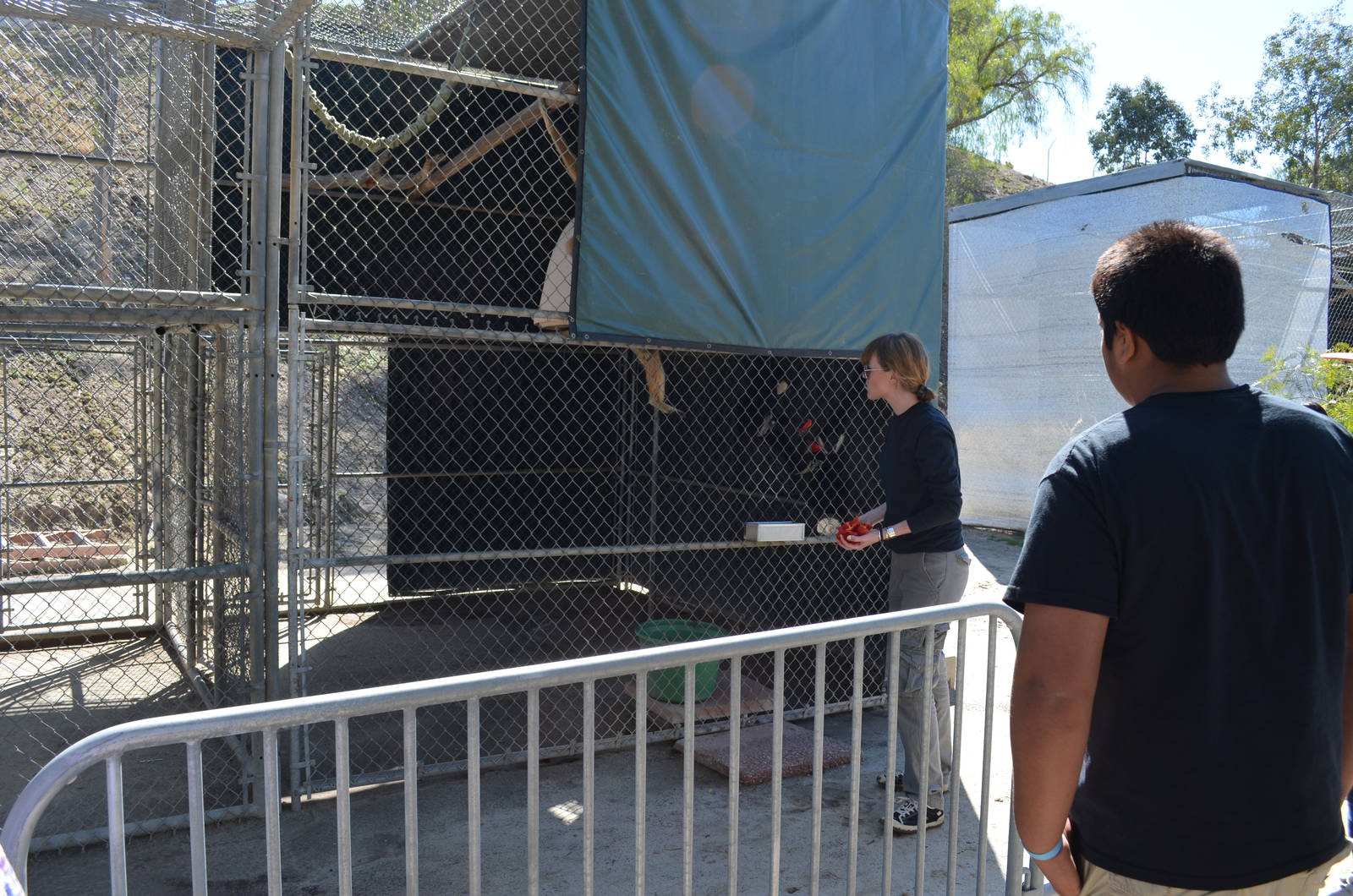 Gibbon Conservation Center