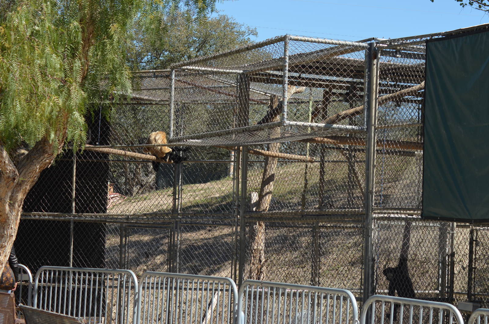 Gibbon Conservation Center