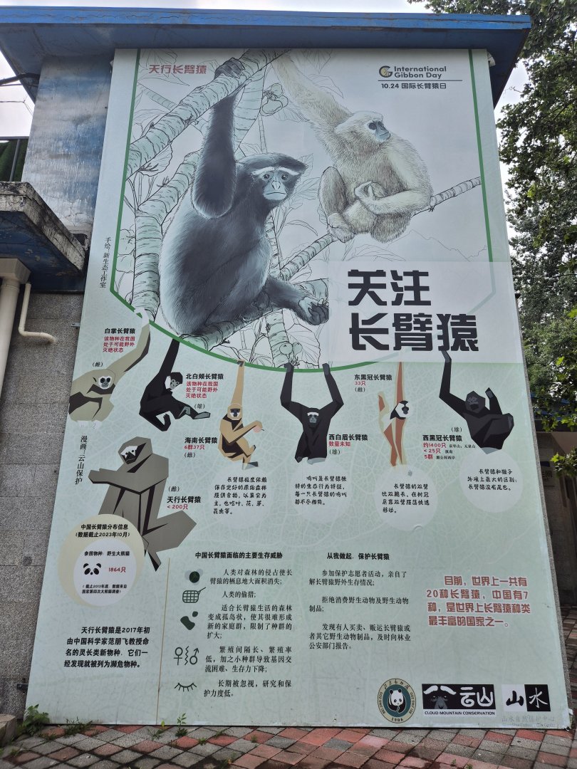 Gibbon educational display