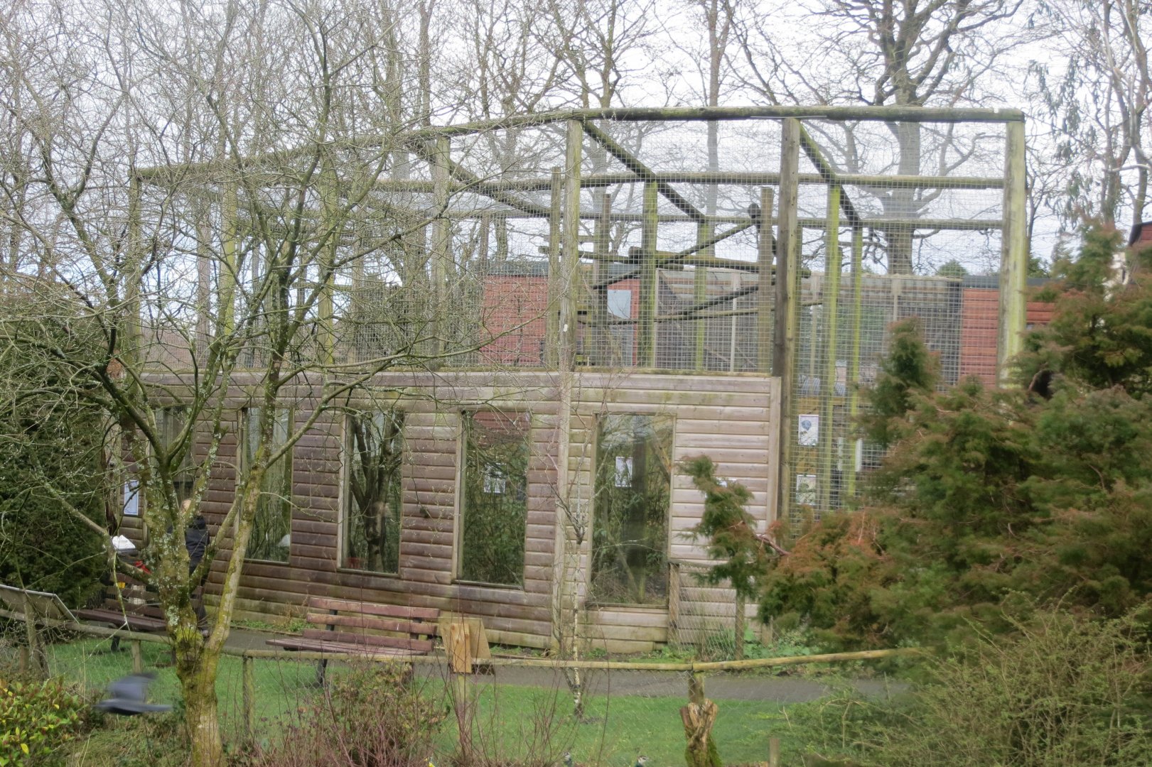 Gibbon enclosure 040319