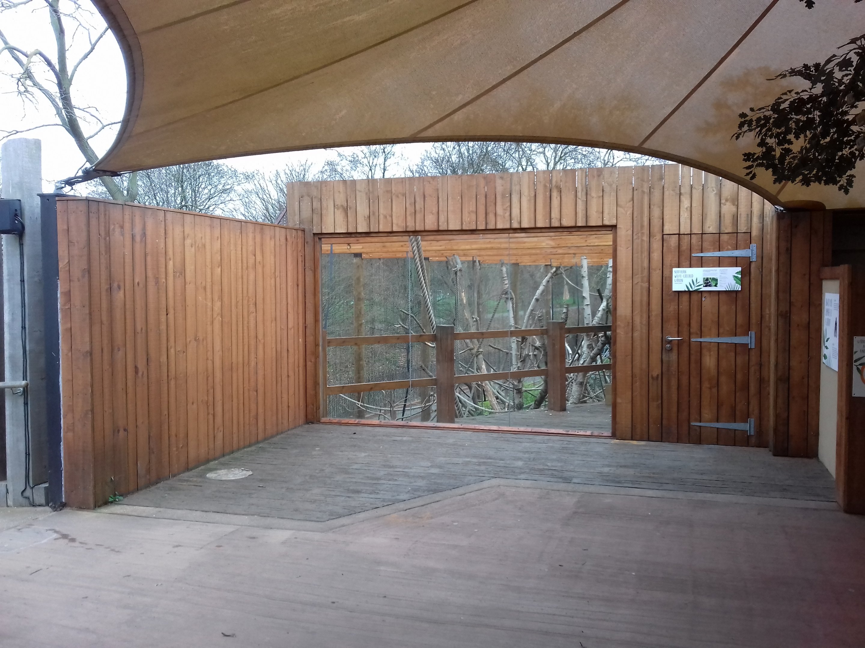 Gibbon enclosure 12/01/2019