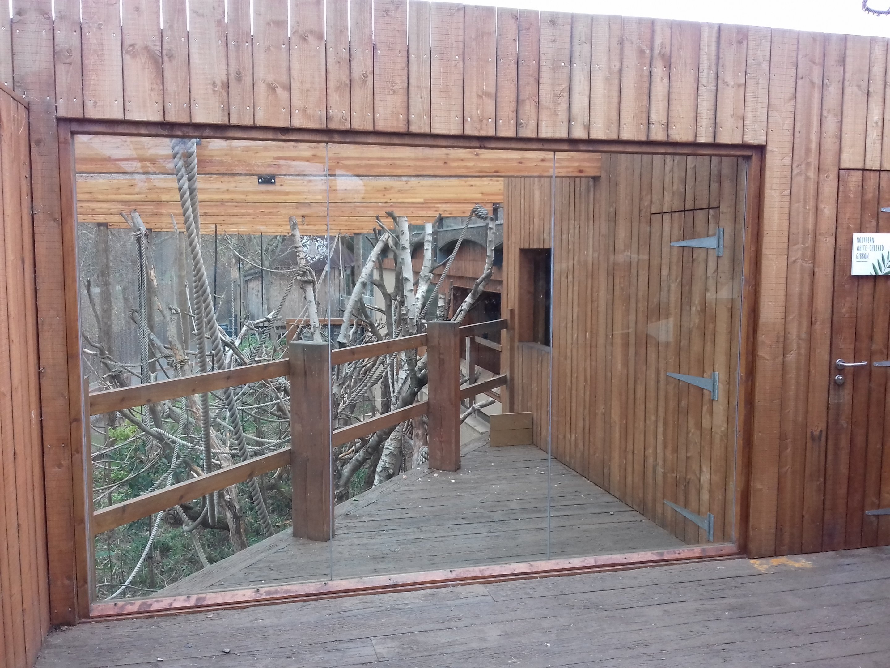 Gibbon enclosure 12/01/2019