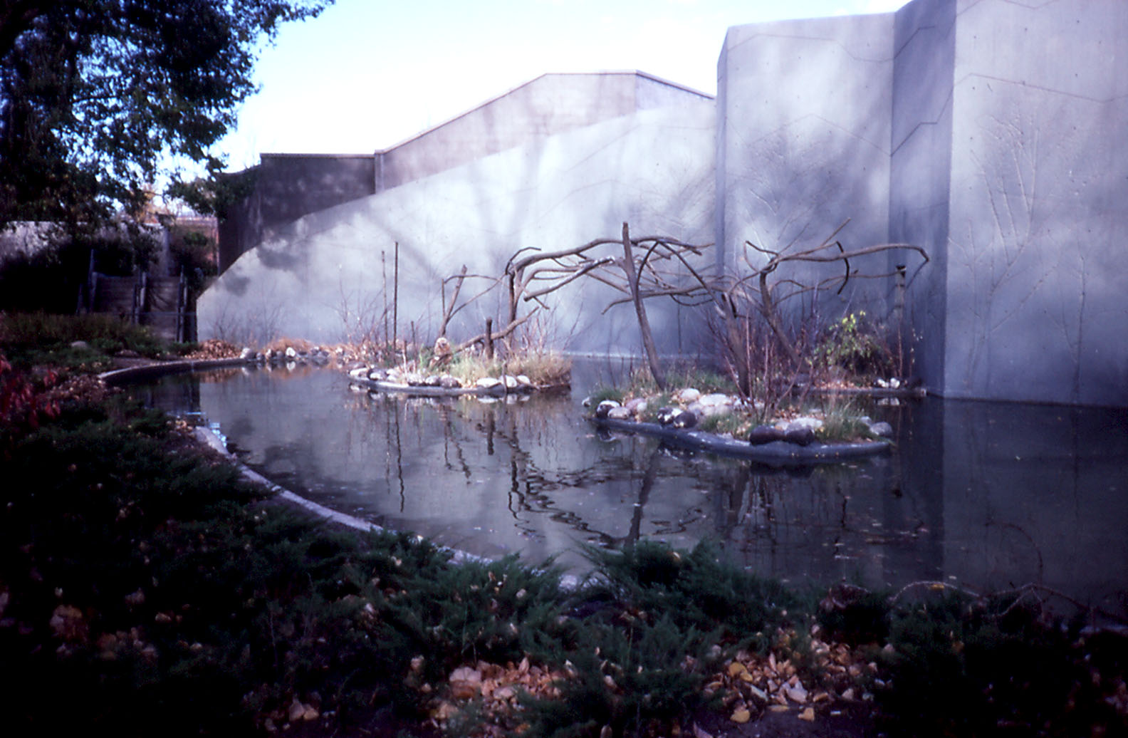 Gibbon enclosure - 1987